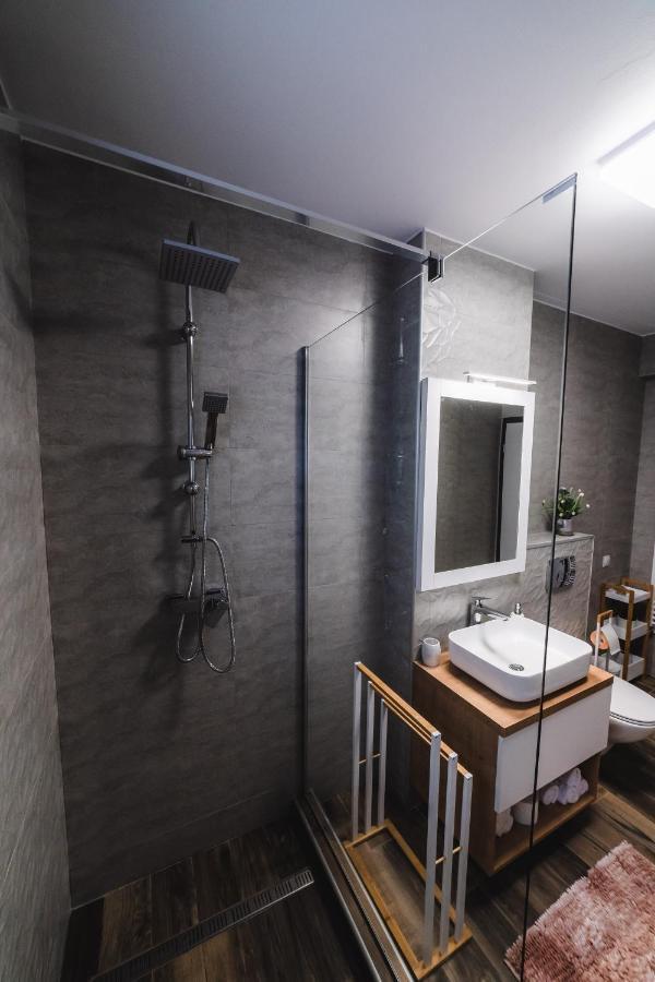 Kogalniceanu Apartments Сибиу Екстериор снимка